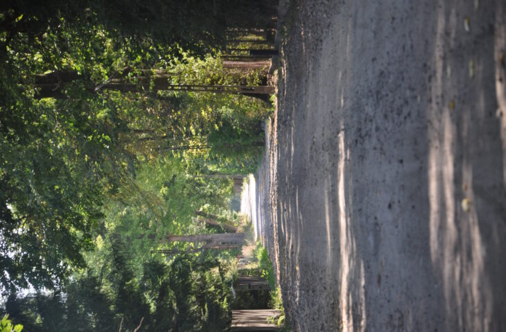 ul. Klonowa, Stefanówka