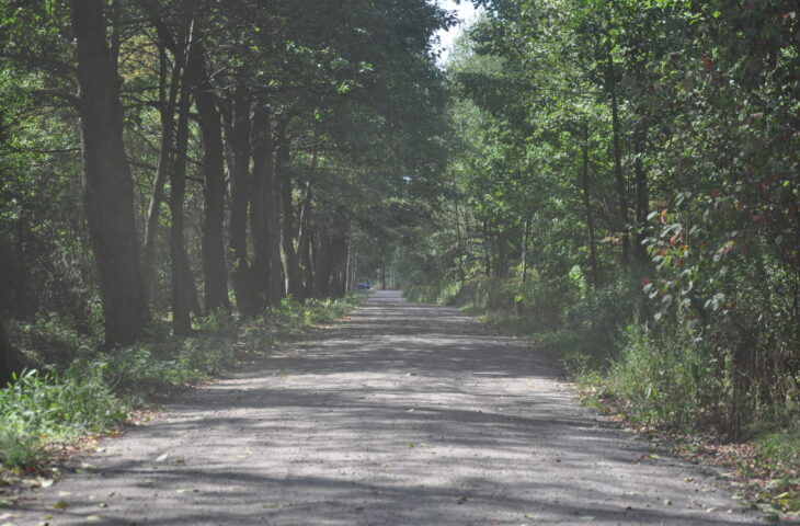 ul. Różyce, Wola Ducka