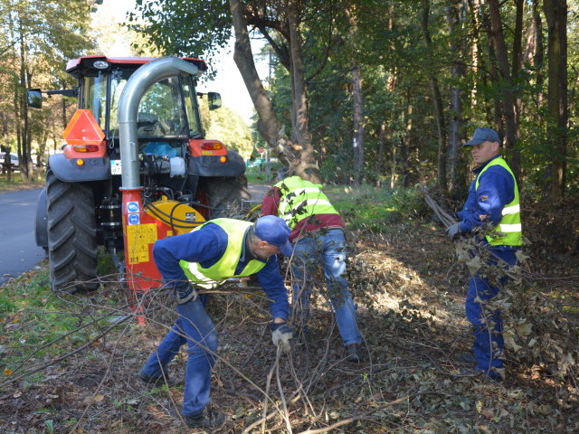 Prace porządkowe na terenie gm. Wiązowna