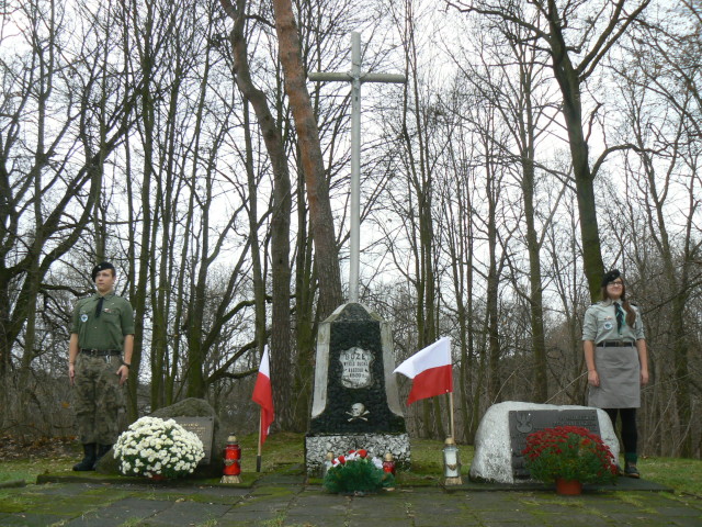 11.11.2015. Gmina Wiązowna