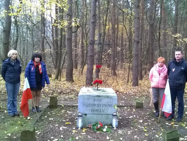 Emów, Gmina Wiązowna, 11.11.2015