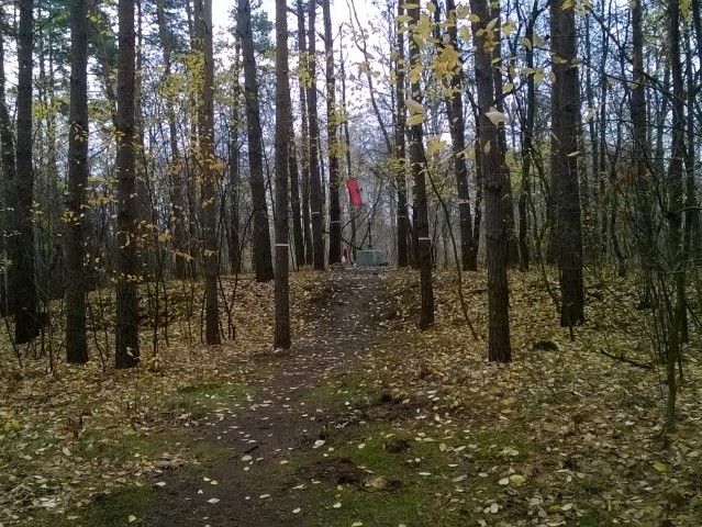 Emów, Gmina Wiązowna, 11.11.2015