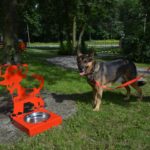 Woda przed urzędem dla psów