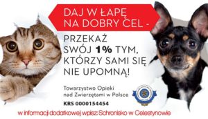 1% dla psów i kotów ze schroniska w Celestynowie